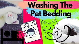 How To Wash Your Pet Bedding  How Often [upl. by Tripp]