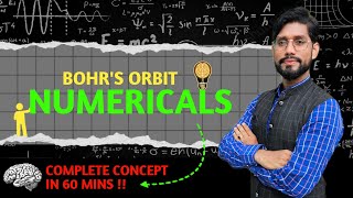 Questions based on Radius of Orbit Energy of Orbits Velocity of Electrons  11th NEET JEE [upl. by Chapen]