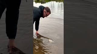 Énorme brochet réal fishinglife fish fishing viralvideo fishingvideo [upl. by Barna]