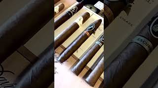 Davidoff Cigars Available at RegencyCigarcom [upl. by Eisset496]