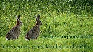 Liedjesvoorjongenoud met beeld en muziek In een groen groen groen groen knollenknollenland [upl. by Janus]