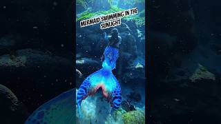 Mermaid swimming in the sunshine mermaidlife underwater realmermaid professionalmermaid mermaid [upl. by Petit50]