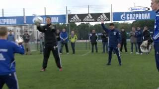 torwartdeTorwarttraining mit T Schlieck  Aufwärmen mit Ballgefühl und Life Kinetik [upl. by Chrissie]