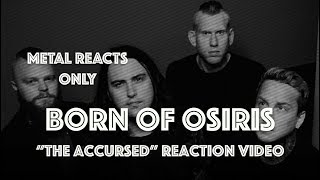 BORN OF OSIRIS quotAccursedquot Reaction Video  Metal Reacts Only  MetalSucks [upl. by Keller]