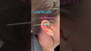 இங்கெல்லாம் காது குத்தலாமா Cartilage piercing  Dr Isacc Abbas [upl. by Nyledaj431]