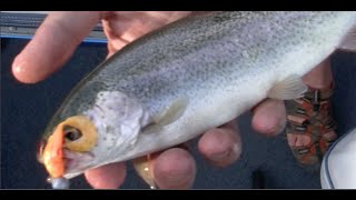 How to Catch Trout at Dillon Reservoir Colorado [upl. by Zia]