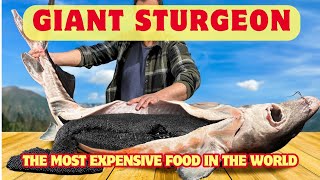 How Sturgeon Caviar is Farmed and Processed [upl. by Pickens]