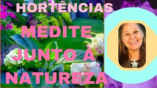 HORTÊNCIAS  RELAXE NA NATUREZA 🌴🍄‍🟫🌵🌳🌻 [upl. by Mauretta]