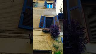 Trastevere Roma Italy travel musica music pizza romeitaly musicsong quartiere [upl. by Lark]