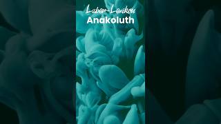 Anakoluth  Laber Lexikon [upl. by Filemon879]