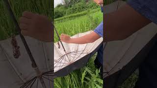 Fishing garne purano tarika fishing fishingvideo fishingtips prashna57 minivlog [upl. by Leissam246]