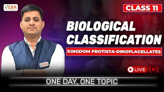 Kingdom ProtistaDinoflagellates  Biological Classification  class 11 Biology  One Day One Topic [upl. by Atiram]