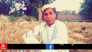 ma lao khaho m gul mansoorما،لؤ کوو روژه وه،محمدګل منصور [upl. by Sivel]