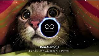 Berkay İnan Aptal Kedi Slowed [upl. by Juna475]