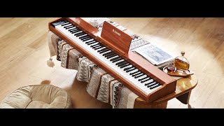 Donner DEP1S Digital Piano Wooden Style [upl. by Atrice]