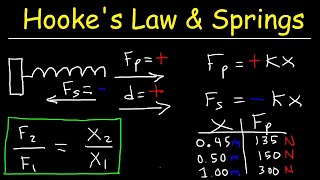 Hookes Law and Elastic Potential Energy [upl. by Naved]