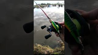 That Whopper Plopper Sound 😍 shorts fishing bassfishing [upl. by Ardnalahs620]