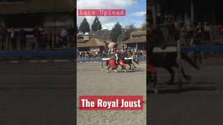 The Royal Joust  Kryal Castle shorts filausopoako [upl. by Glovsky]