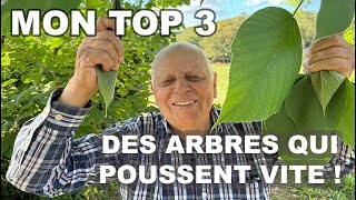 Les MEILLEURS ARBRES 🌳 qui POUSSENT RAPIDEMENT [upl. by Adien]