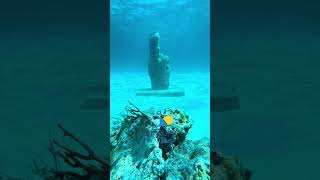 cancunfuntimes playamujeres privatetour snorkelingtour playa bachelorette travel [upl. by Wilt35]