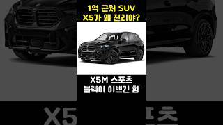 BMW X5가 왜 진리야 [upl. by Henni]