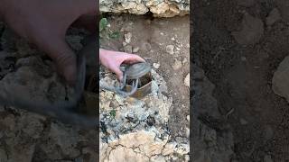 chest full of gold how to find treasure historymetaldetecting treasuresearch treasurediscoveries [upl. by Iver143]