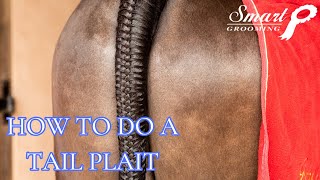 HOW TO DO A TAIL PLAIT [upl. by Philemol636]