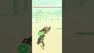 Molduking Battle The Legend of Zelda Breath of the Wild [upl. by Faux]