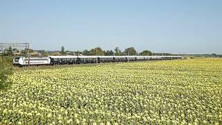 VSOE  Orient Express in Tirrenica [upl. by Warfeld]