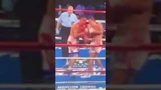 SloMo Patented GGG Golovkin hook then uppercut vs Rosado fighting boxing boxeo [upl. by Esiom482]