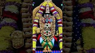 🙏sri venkateswara swamydevotionalstatus devotional shorts [upl. by Batruk]