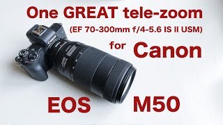 One great 70300mm telezoom for EOS M50 [upl. by Siryt]