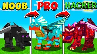 MINECRAFT NOOB vs PRO vs HACKER DRAGONS [upl. by Anahsahs]