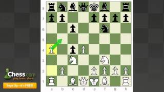 Chess Openings  How to Play the Slav Defense [upl. by Elazaro539]