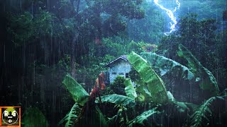 Rainforest Ambience Rain Sounds Jungle Animals and Thunder in the Distance  Relaxing Sleep Sounds [upl. by Ashley]