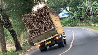 Truk muatan tebu kres miring di jalur lahor yang sering menumbangkan truk [upl. by Ynnohj]