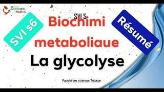 biochimie métabolique  Résumé de la glycolyse شرح بالدرجة [upl. by Arabrab227]