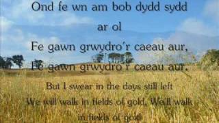 Y Caeau Aur  Gemma Markham geiriau  lyrics [upl. by Legnaesoj843]