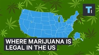 Where Marijuana Is Legal In The US [upl. by Marsden]