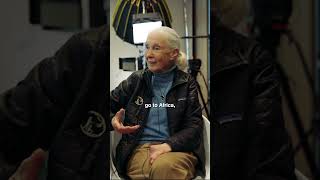 Jane Goodalls message to young people with BreakingLab  wef24 [upl. by Aicital]