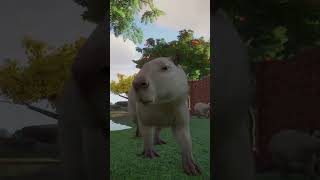 🦁🐼 Planet Zoo🐯🦓 od Kloo🦘 1 short [upl. by Annad]