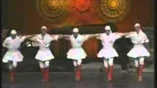 Macedonian Folklore Dance Ensemble Tanec  Osogovka Oroavi [upl. by Atnohs]