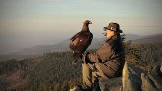 Falconry Today Documentary  trailer [upl. by Rem]