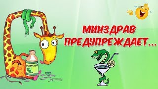 Позитивчик для друзей Минздрав предупреждает [upl. by Cora826]