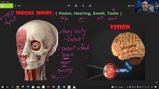 Vision Physiology1 د الشريف [upl. by Hbahsur721]