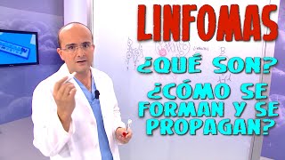 LINFOMAS Todo lo que necesita saber ¿Qué son ¿Como se propagan  CÁNCER 15 [upl. by Nah]