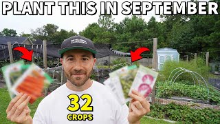 32 VEGGIES To Plant In September NOW For A Beautiful Fall Garden [upl. by Ferullo]