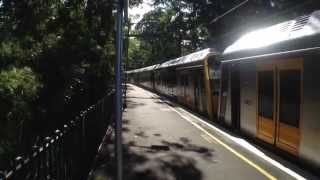 Sydney Trains Vlog 81 Normanhurst [upl. by Swec]