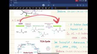 Pharm Biochem  Fatty Acid Degradation [upl. by Sammer]