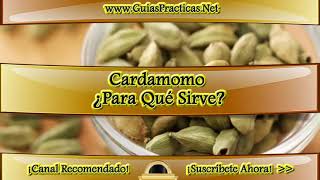 Cardamomo ¿Para Qué Sirve [upl. by Ailicec]